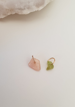 Load image into Gallery viewer, Leo Charm Set