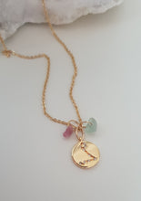 Load image into Gallery viewer, Pisces Charm Set